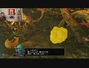 ドラゴンクエストヒーローズⅡ-231