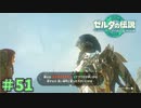 もう少し空を見た方がいいと思う　「ゼルダの伝説～ティアーズ・オブ・ザ・キングダム」　＃51