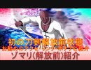 BLEACH ブレソル実況 part2986(キャラクター紹介:第460回ゾマリ(解放前)紹介)