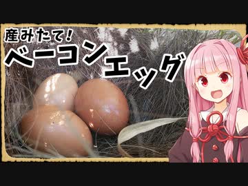 【異世界飯】世界で一番新鮮なベーコンエッグなんやで！？