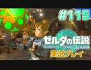 【実況】大空を翔る。ゼルダの伝説ティアーズオブザキングダム 実況プレイ！Part115【ゼルダの伝説TotK】