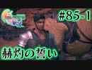 【FF16】ぽんこつヒカセンが世界の理に立ち向かう Part.85-1【実況】
