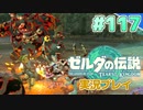 【実況】大空を翔る。ゼルダの伝説ティアーズオブザキングダム 実況プレイ！Part117【ゼルダの伝説TotK】