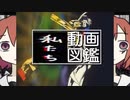 たーんわたし