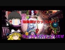 【Shadowverse】ドラゴンで強くなりたいシャドウバース #11