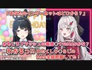 【インターネット】石神のぞみの懐かしのインターネットの話で共感する月ノ美兎【にじさんじ切り抜き】