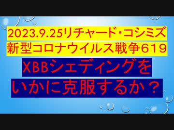 2023.9.25リチャード・コシミズ 新型コロナウイルス戦争６１９