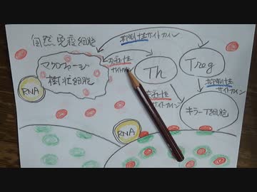 図説コロナワクチン後遺症