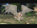 145ミリしか知らない『DQ10オフラインver2』を実況プレイ