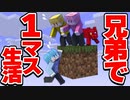 1マスしかない世界で兄弟と1匹で生活 #2【マイクラ/まいくら】