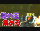 ド○ゴンボール集めとドラゴン退治【ゼルダの伝説 ティアーズ オブ ザ キングダム】#123