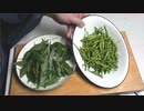 第493位：葉唐辛子の佃煮【長火鉢とおっさん325】