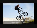 BMX Race Bikes