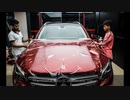 Paint Protection