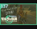 #137【ゼルダの伝説ティアーズオブザキングダム】ちょっと世界を翔けてくる【実況プレイ】