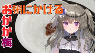 【梅おかか】おかゆをちょいアレンジでおいしく健康に【VOICEVOXクッキング】