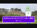 埼玉古墳でハニワごっこをするたまちゃん