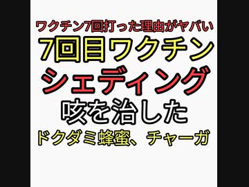 ワクチン７回目接種した理由がヤバすぎる。ワクチン７回目のシェディングが怖い。シェディングの咳が消えたドクダミ蜂蜜とチャーガ