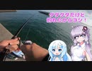 【VOICEROIDフィッシング】グダグダ釣行！【フカセ釣り】