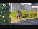 bandshijin - SO（ソウ） 映像と歌詞