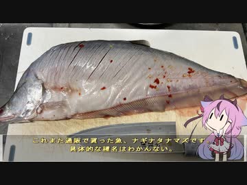 珍食材が食べたい！#160 ナギナタナマズのすり身トマト煮