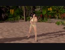 【DoaX3】グラビアパラダイスランダム