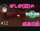 【嫁とゼルダ】アクション苦手なおしおのゼルダの伝説成長日記#12【ゼルダの伝説totk】