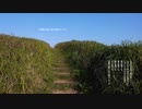 【朗読】冒険の旅に出た頃のように【VOICEVOX:WhiteCUL】