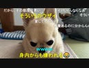 【コメント有】ニンポー 2023年09月26日15時36分 人付き合いを上手くしたい【ニコ生録画】