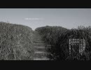 【朗読＋歌】冒険の旅に出た頃のように【VOICEVOX:WhiteCUL＋ハナウタナベ】