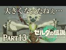 チューリ…こんなに大きくなって…【ゼルダの伝説 ティアーズオブザキングダム】Part13