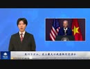 米ベトナム、史上最大の武器取引交渉か