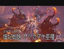 【MHR:SB】vs傀異化ヤツガタキ亜種 狩猟笛生活202日目