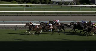 2023年9月18日_中山競馬_11R_セントライト記念_芝2200