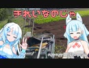 2023年9月26日　農作業日誌P764　今日は出荷がないからあちらこちらの畑に種まき作業をする