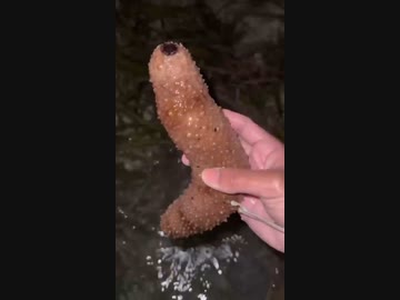 拓也の射精
