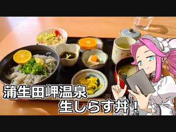 めたん紀行　＃２　蒲生田岬温泉生しらす丼！【VOICEROID車載】