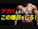 【筋トレ】各部位１種目しかできない時のお勧め種目 | パワーリフターが解説【ビーレジェンド プロテイン】