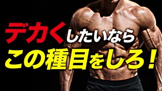 【筋トレ】各部位１種目しかできない時のお勧め種目 | パワーリフターが解説【ビーレジェンド プロテイン】