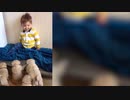 可愛い仔犬が赤ちゃんの後を追って家を駆け巡る