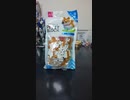プチブロック柴犬編