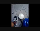 100kmウォーキング　part003