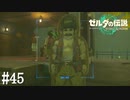 【ゼルダの伝説 Tears of the Kingdom】よーやく会えましたね、エノキダ社長【実況】#45
