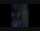 100kmウォーキング　part004