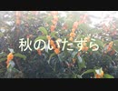 秋のいたずら(Autumn pranks) kaori