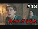 【初見実況】闇の魔術を使いたくない男のホグワーツ・レガシー【#18】