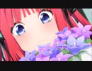 五等分の花嫁　∞　