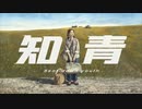 知青 / Sent-down Youth