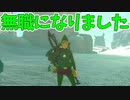 護衛騎士やめて妖精の末裔(無職)になりました【ゼルダの伝説 ティアーズ オブ ザ キングダム】#125
