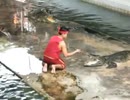 ワニの口に手を突っ込むショーで致命的なアクシデントが発生